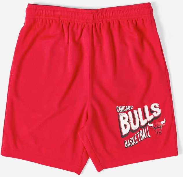 NEW Active Kids NBA Mesh Shorts