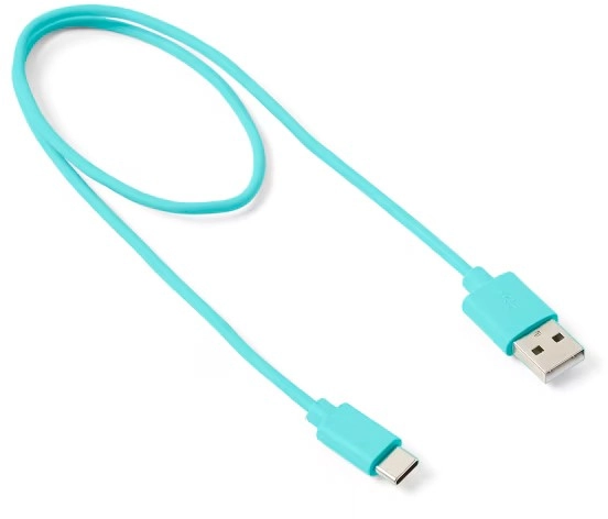 NEW USB-C Short Cable - Blue