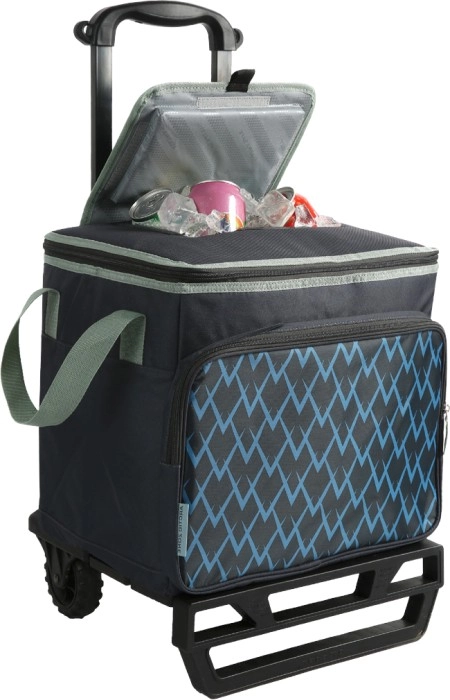 Arctic Zone Collapsible Cooler