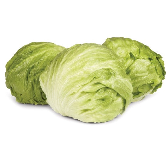 Australian Iceberg Lettuce