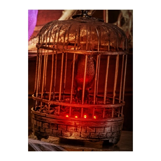 Halloween Bird in Cage