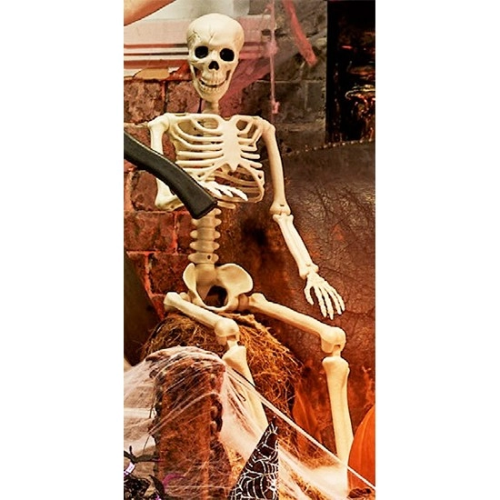 Halloween Large Hanging Skeleton