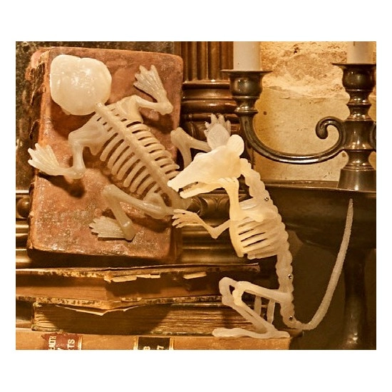 Halloween Small Animal Skeleton – Assorted