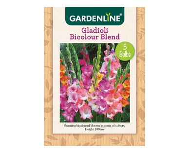 Dahlia or Gladioli Packet Bulbs