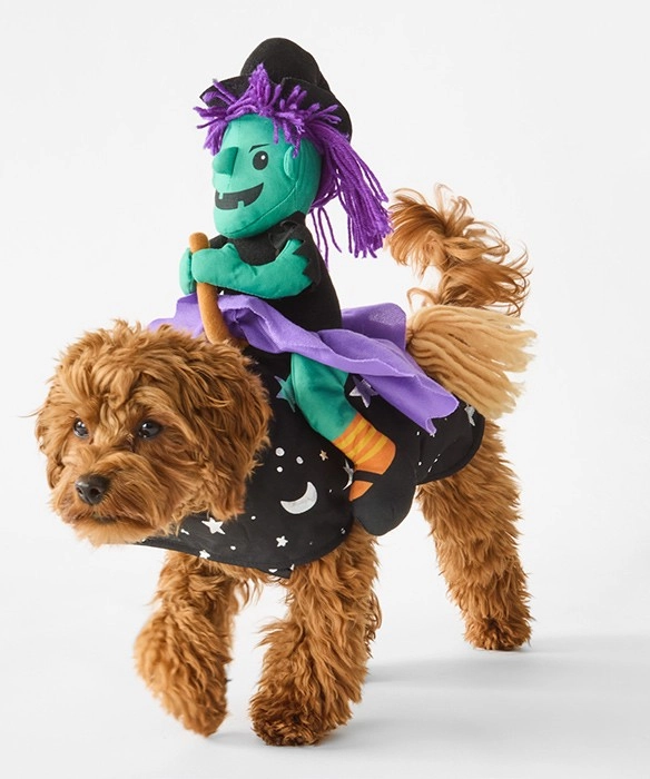 Pet Costume Halloween Witch Ride-On