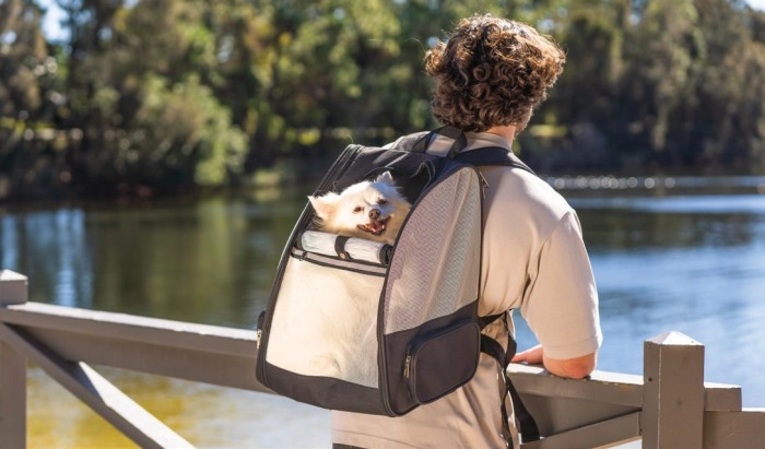 Pet Carrier Back Pack^