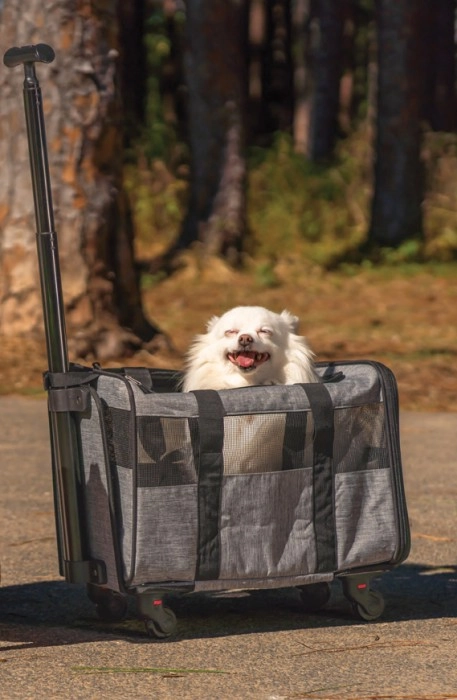 Pet Trolley Case^