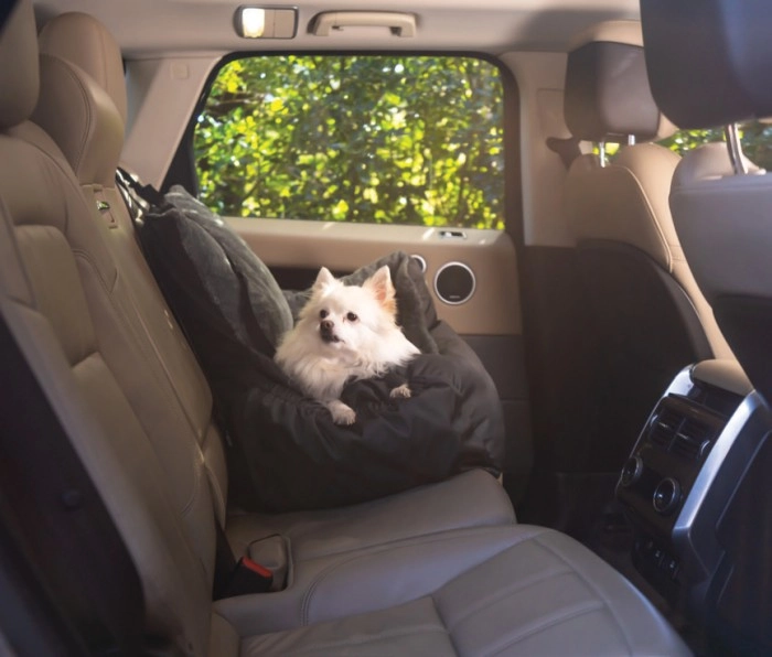 Small Pet Car Seat^