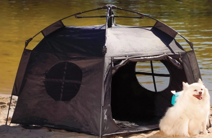 Small Pet Tent^