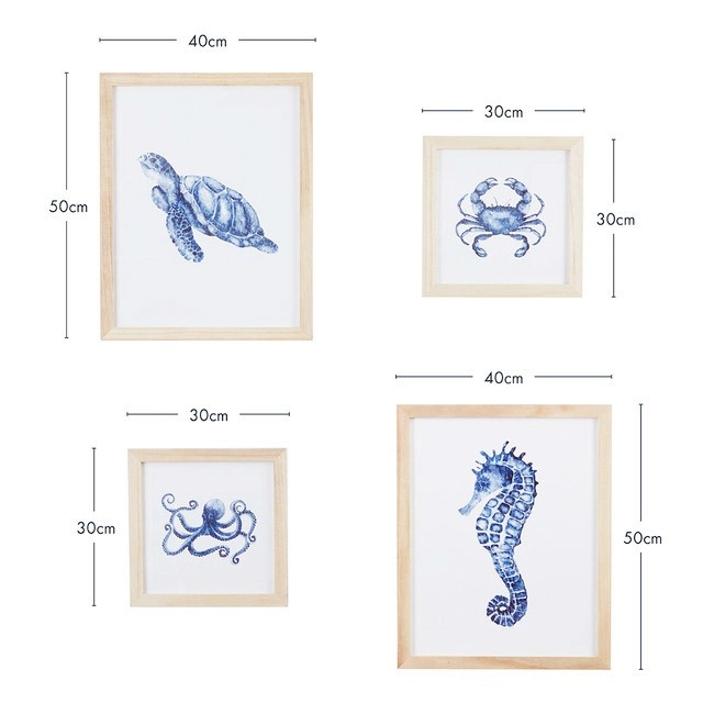 Aquatic Sea Creature Framed Printed Wall Art by Habitat