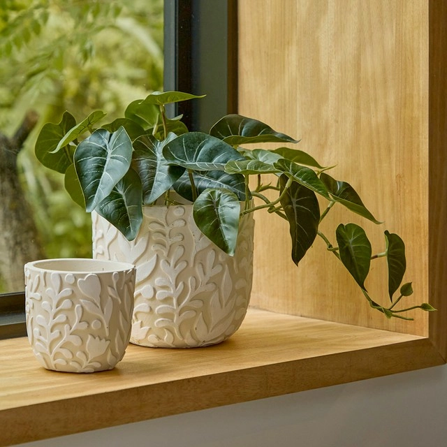 Vine Natural Cement Decorative Pot by Habitat