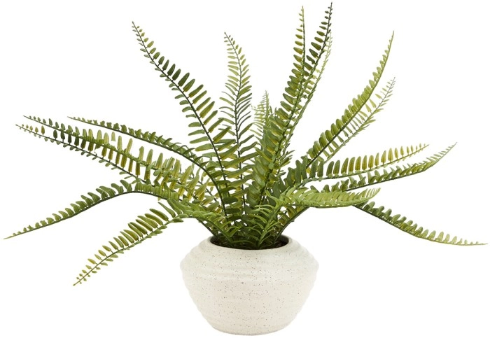 Marketlane Faux Fern in Pot