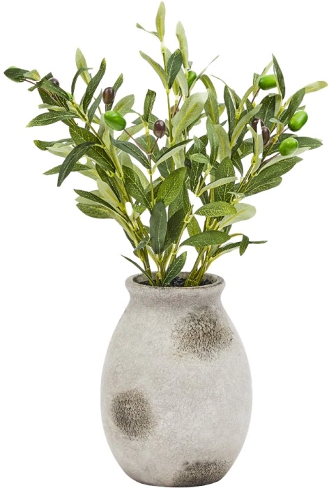 Marketlane Faux Olives in Vase Plant