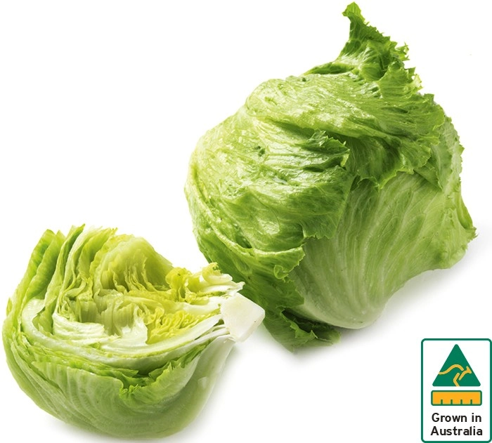 Australian Iceberg Lettuce