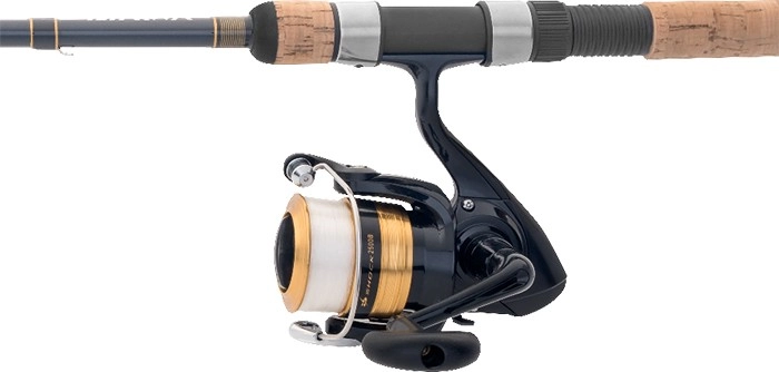 Daiwa D-Shock Spin Combo