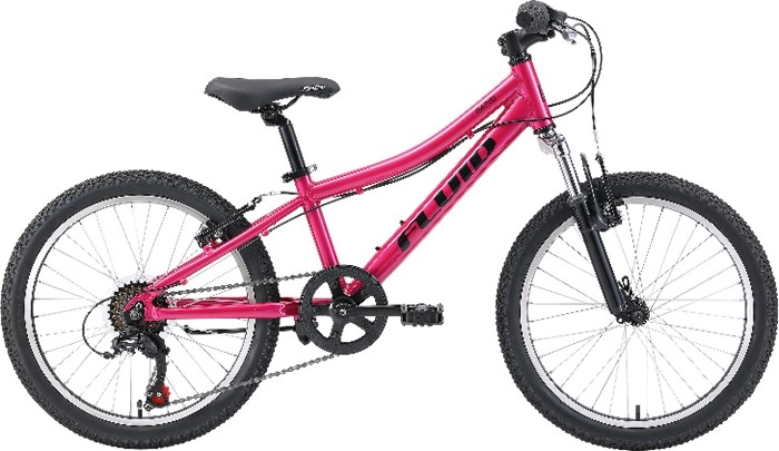 Fluid Youth Rapid 1.0 50cm Bike