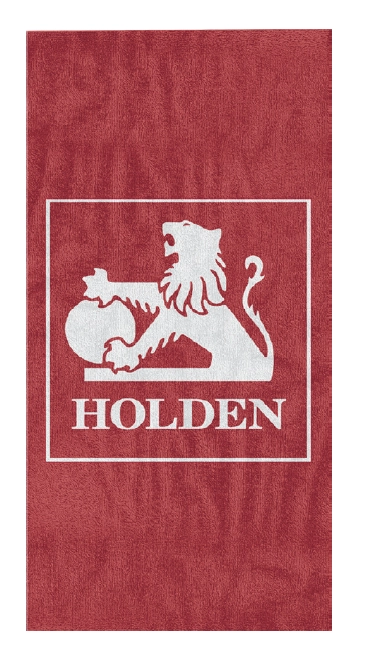 100% Cotton Beach Towels - Holden