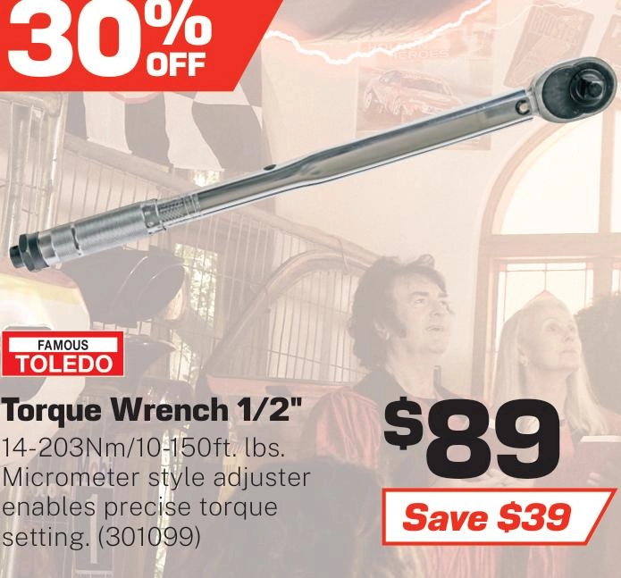 Toledo Torque Wrench 14-203Nm 1/2in Drive - 301099