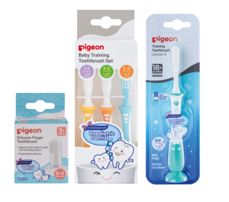 Pigeon Training Toothbrush Range