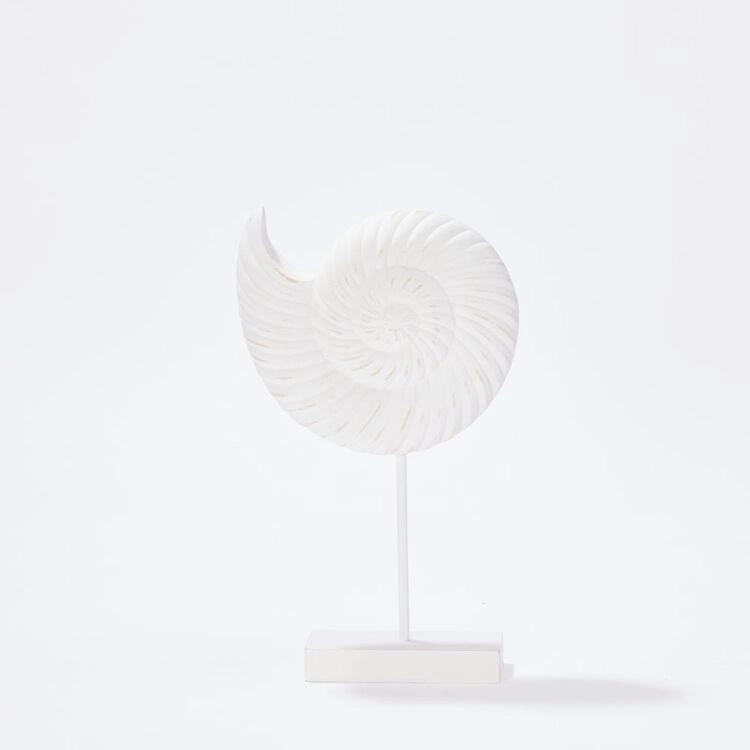 Soren Conch Décor White