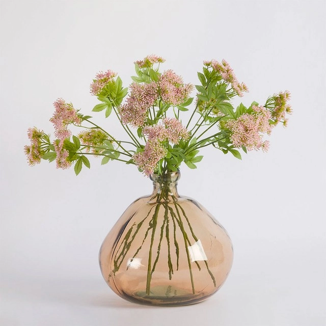 Queen Anne's Lace Stem by Habitat