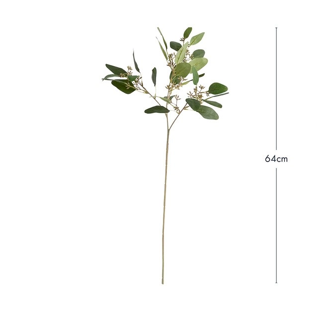 Single Eucalyptus Stem by M.U.S.E.