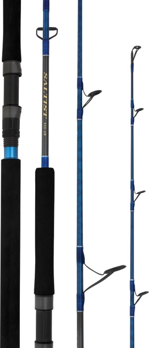 Daiwa 23 Saltist Rods