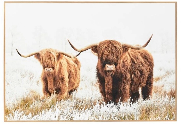 30% off Highland Cows