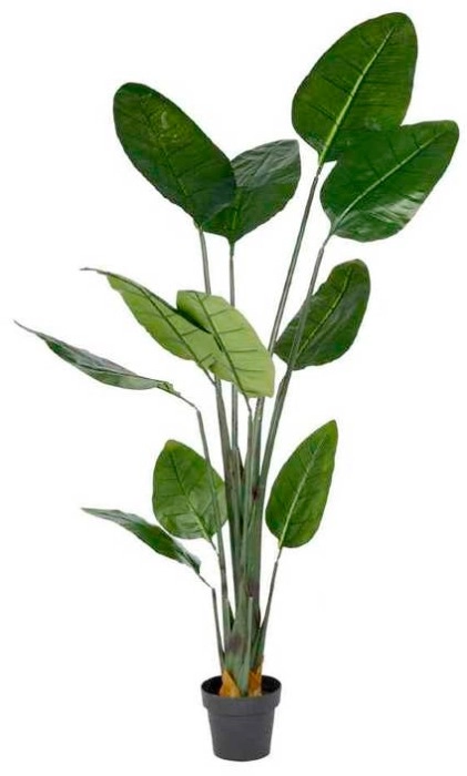 Banana Leaf Tree Green 180cm