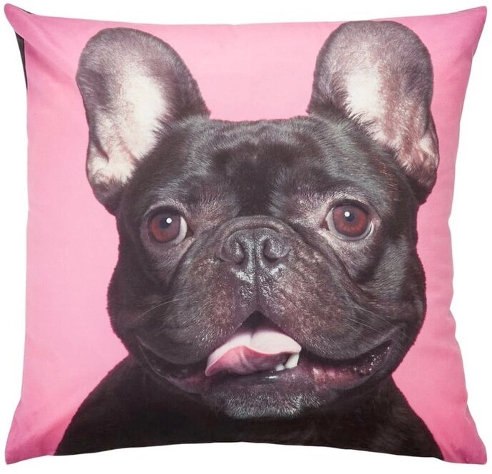 Brampton House Photo Real Frenchie Cushion 45 x 45cm