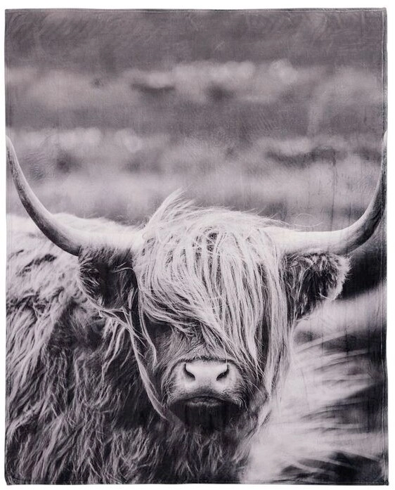 Brampton House Photo Real Highland Cow Blanket 180 x 220cm