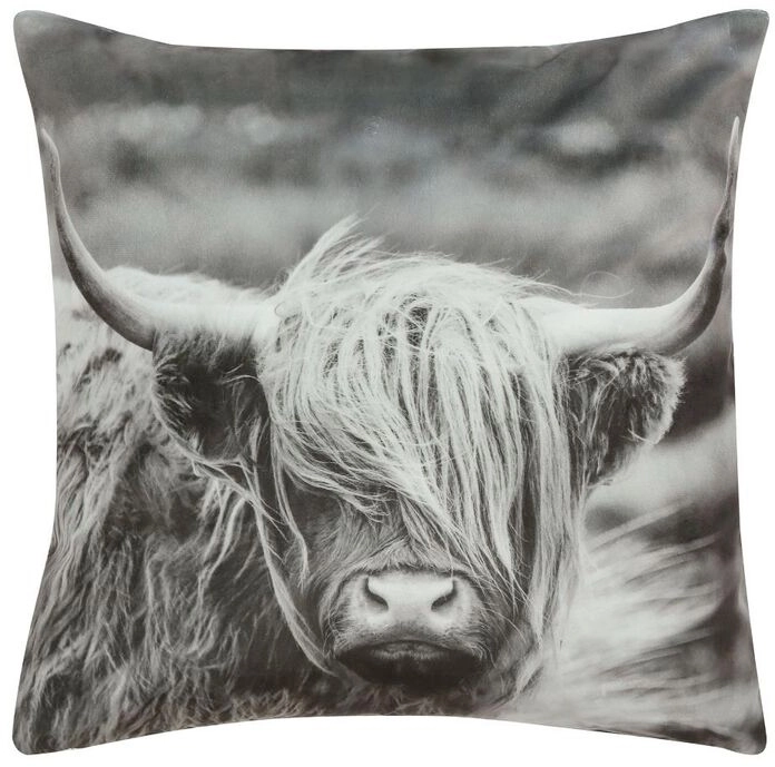 Brampton House Photo Real Highland Cow Cushion 45 x 45cm