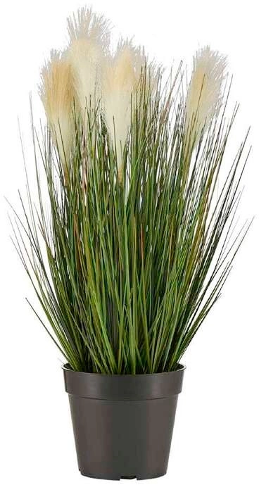 Bulrush In Pot Natural 56cm