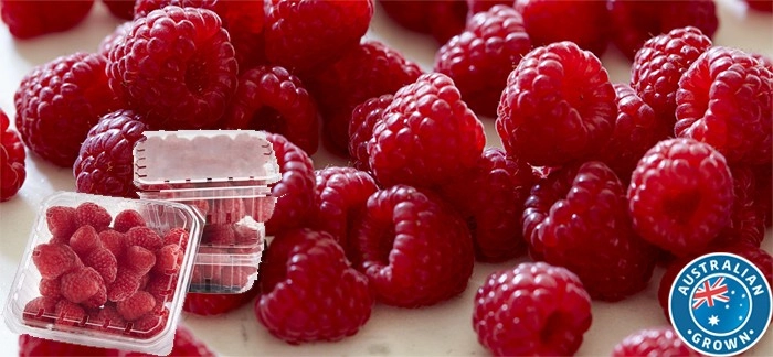 Australian Raspberries 125g Punnet