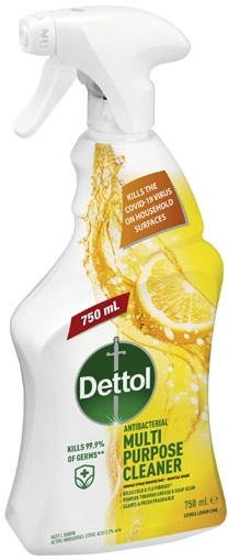 Dettol Multipurpose Spray 750mL