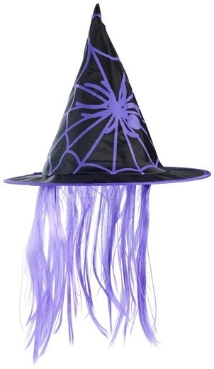 Halloween Witch Hat with Hair