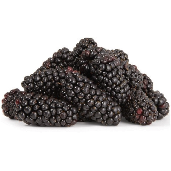 Australian Blackberries 170g Punnet