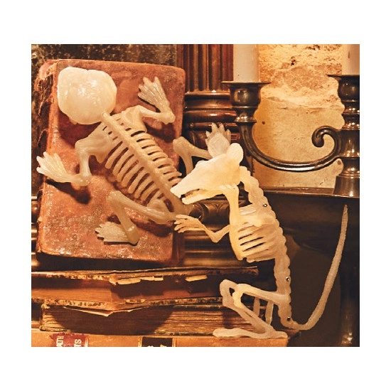 Halloween Small Animal Skeleton – Assorted