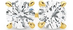 Alora 14ct Gold 1 1/2 Carats TW Lab Grown Diamond 4 Claw Stud Earrings