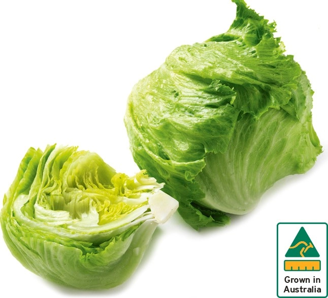 Australian Iceberg Lettuce