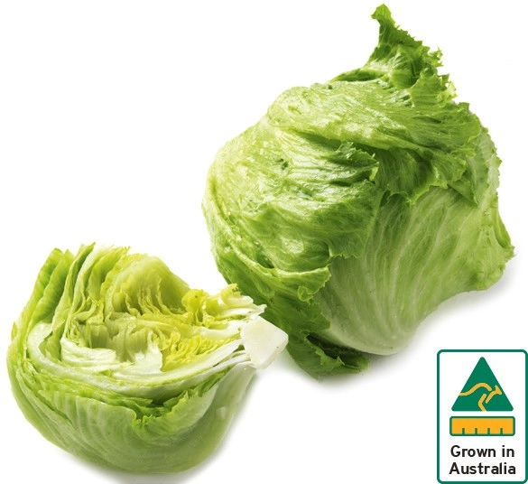 Australian Iceberg Lettuce