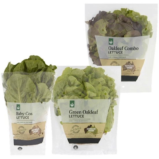 Australian Baby Cos Lettuce, Green Oakleaf Lettuce or Combo Oakleaf Lettuce