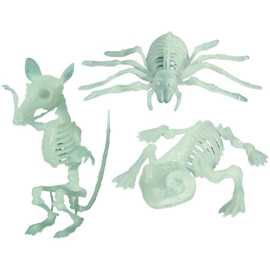 Halloween Small Glow In The Dark Skeleton Animal – Assorted