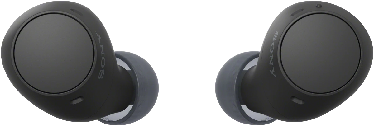 Sony Truly Wireless Earbuds