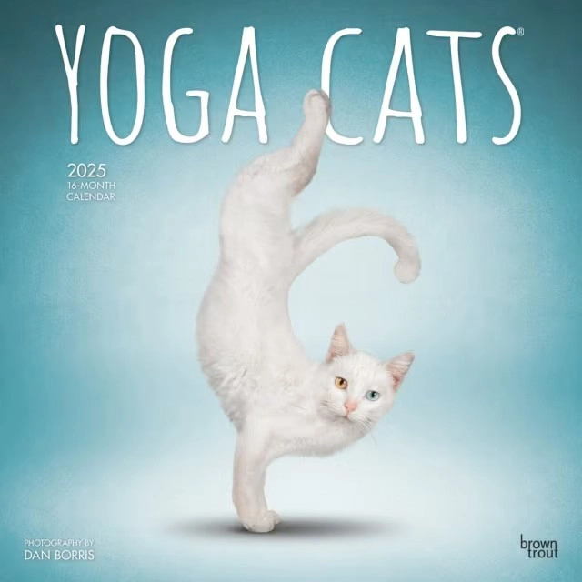 2025 Wall Calendar - Yoga Cats