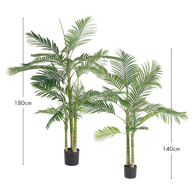 Artificial Bangalow Palm by M.U.S.E.