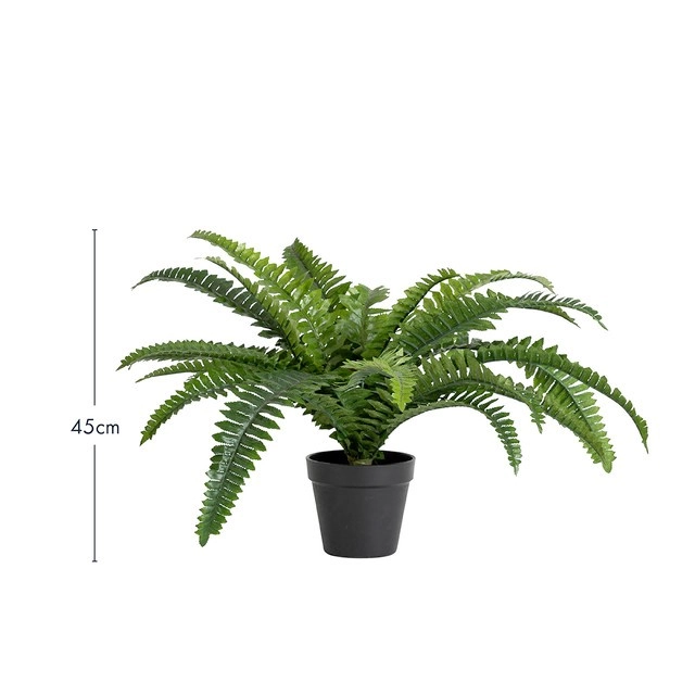 Artificial Boston Fern by M.U.S.E.