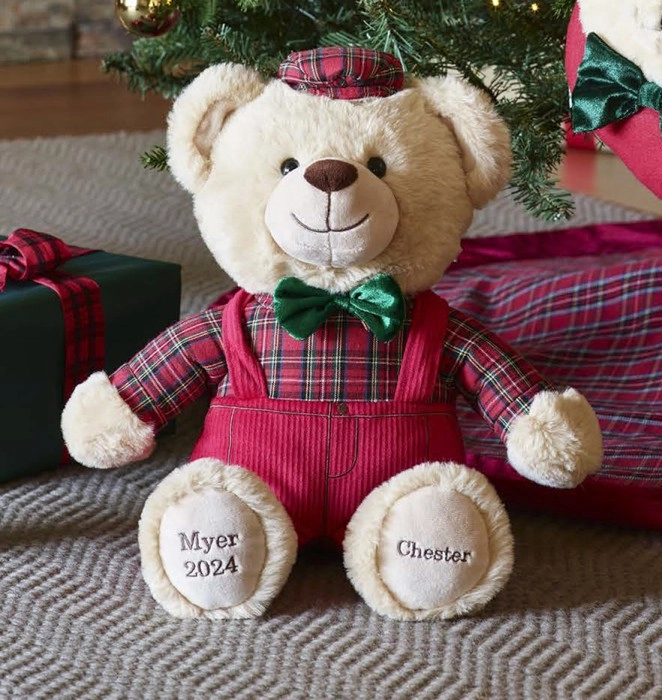 Myer Giftorium Chester 2024 Christmas Charity Bear 40cm