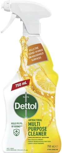 Dettol Multipurpose Spray 750mL