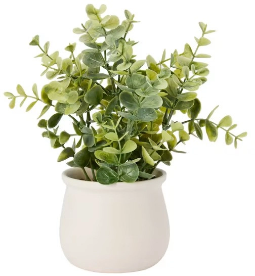 Artificial Dollar Gum Eucalyptus in Pot